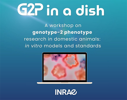 EuroFaang-G2P_in_a_dish2025